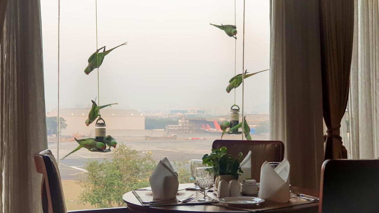 The Orchid Hotel Mumbai Vile Parle מראה חיצוני תמונה Parrots at the airport